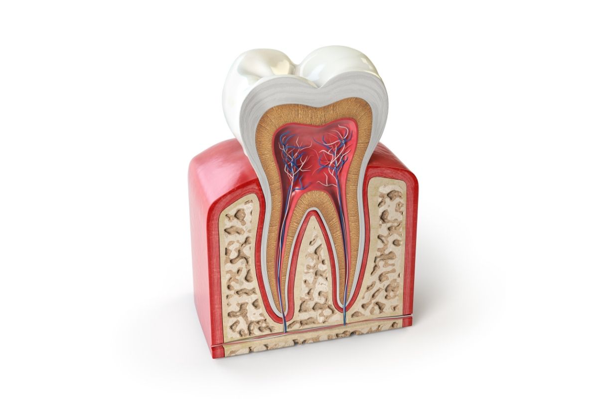 Root Canal Treatment